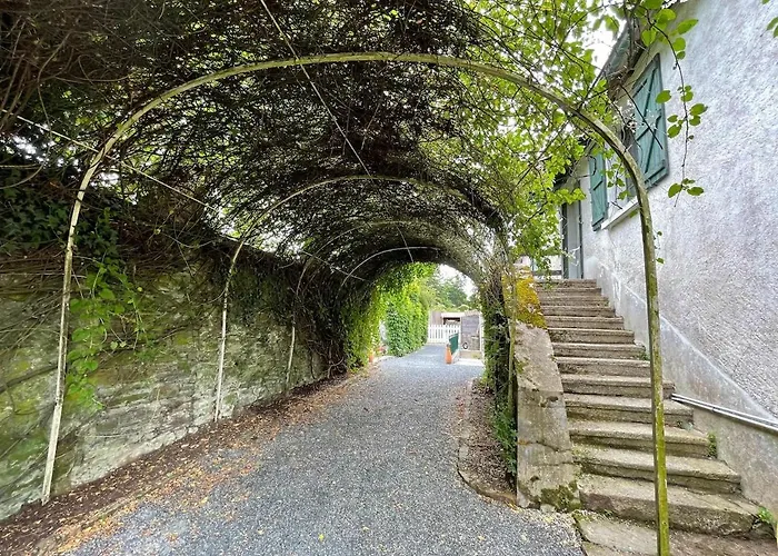 Le Logis Du Vignoble Vakantiehuis *